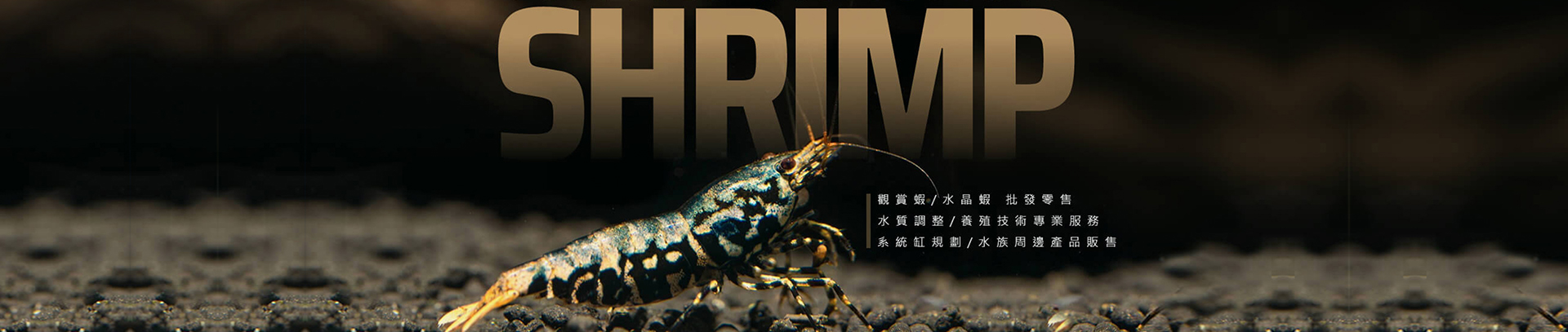 攻略水族