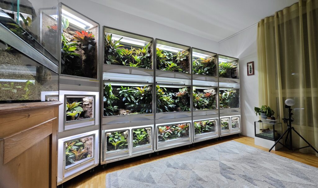 參訪Terrarium及Paludarium的玩家 Part I