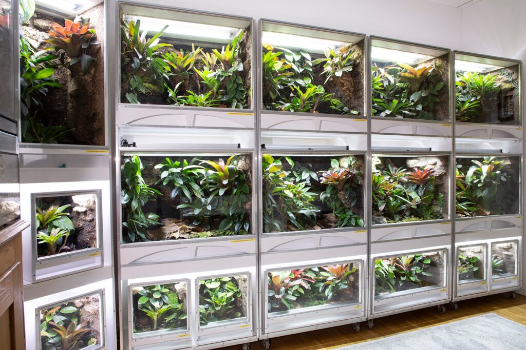 參訪Terrarium及Paludarium的玩家 Part I