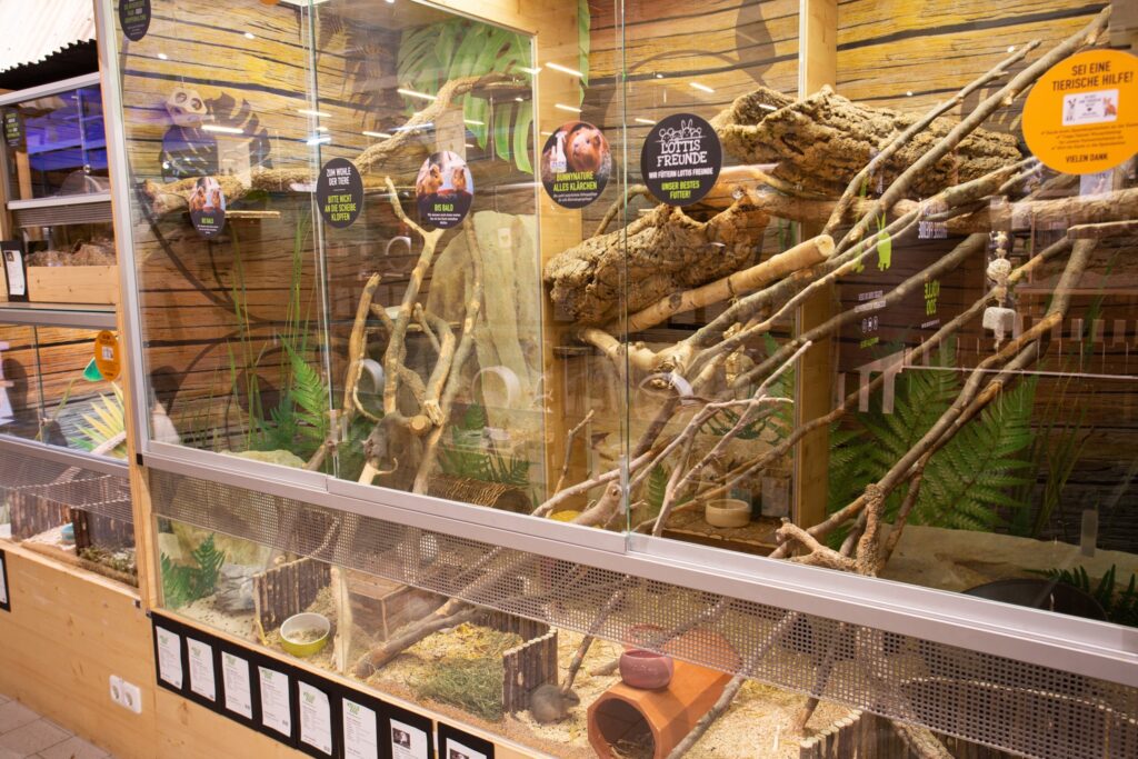 Kölle Zoo Ulm(烏爾姆) 探訪