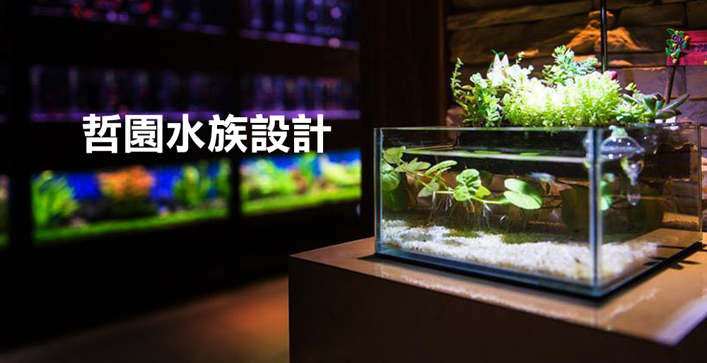 哲園水族生活館