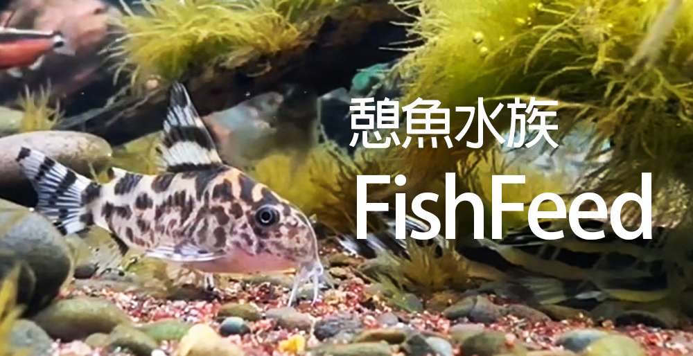 憩魚水族館