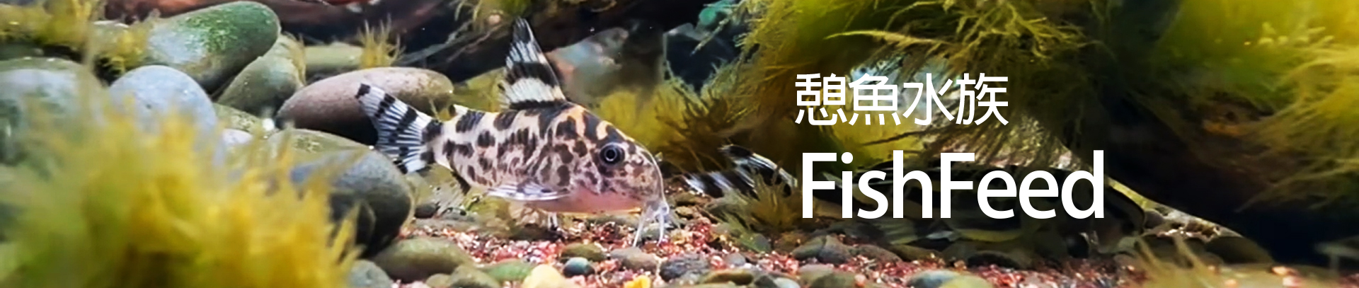 憩魚水族館