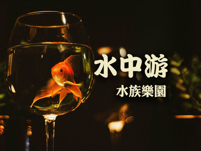 水中游-主圖版