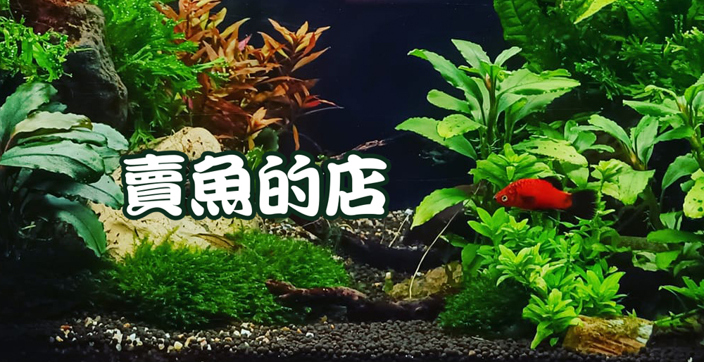 賣魚的店