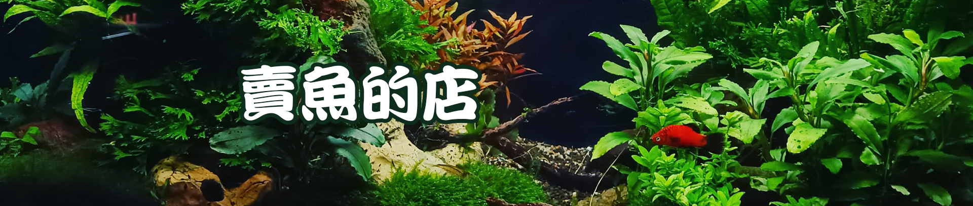 賣魚的店