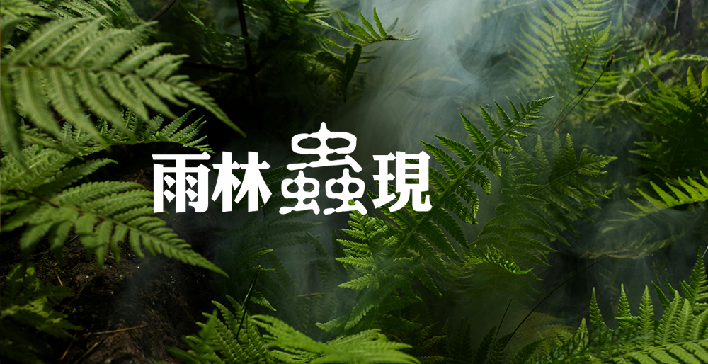 雨林蟲現-手機版