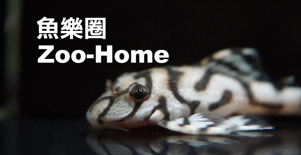 Zoo-Home水族