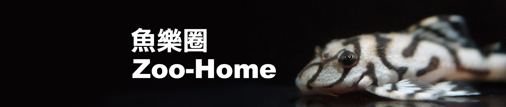 Zoo-Home水族