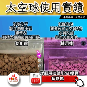 【招財魚】第一代太空球