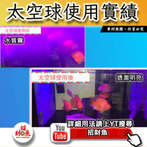 【招財魚】第一代太空球