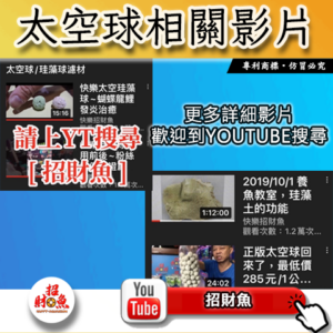 【招財魚】第一代太空球