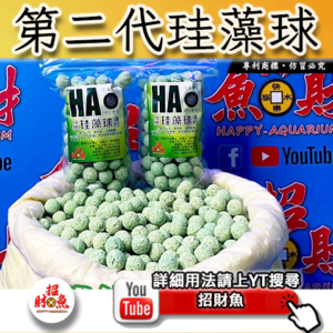 【招財魚】第二代珪藻球