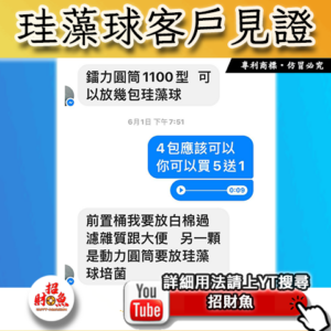 【招財魚】第二代珪藻球