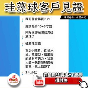 【招財魚】第二代珪藻球
