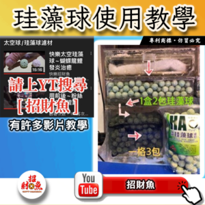 【招財魚】第二代珪藻球