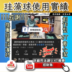 【招財魚】第二代珪藻球