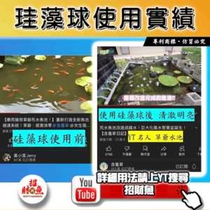 【招財魚】第二代珪藻球