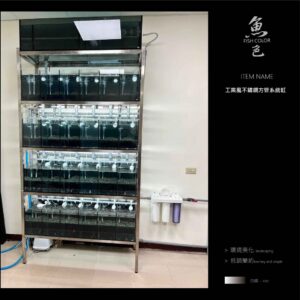 魚色水族FISHCOLOR 台北 工業風不鏽鋼方管系統缸 魚缸 水族 觀賞魚 觀賞蝦 孔雀魚