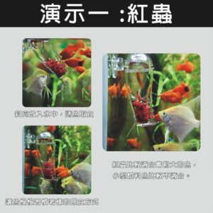 【Hook水族】褲型餵食器 水族壓克力魚缸餵食器 餵魚器 餵食杯 餵魚神器 紅蟲杯 水族用品 魚缸用品 魚