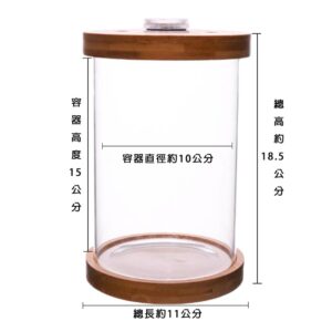 【Hook水族】迷你小型魚缸 鬥魚缸 積木魚缸 迷你魚缸 創意 玻璃鬥魚缸 辦公桌面小魚缸 七彩變色