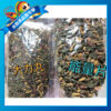 中大異型魚能量片