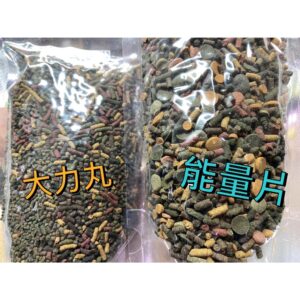 中大異型魚能量片