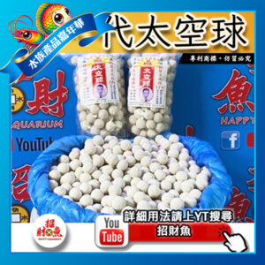 【招財魚】第一代太空球