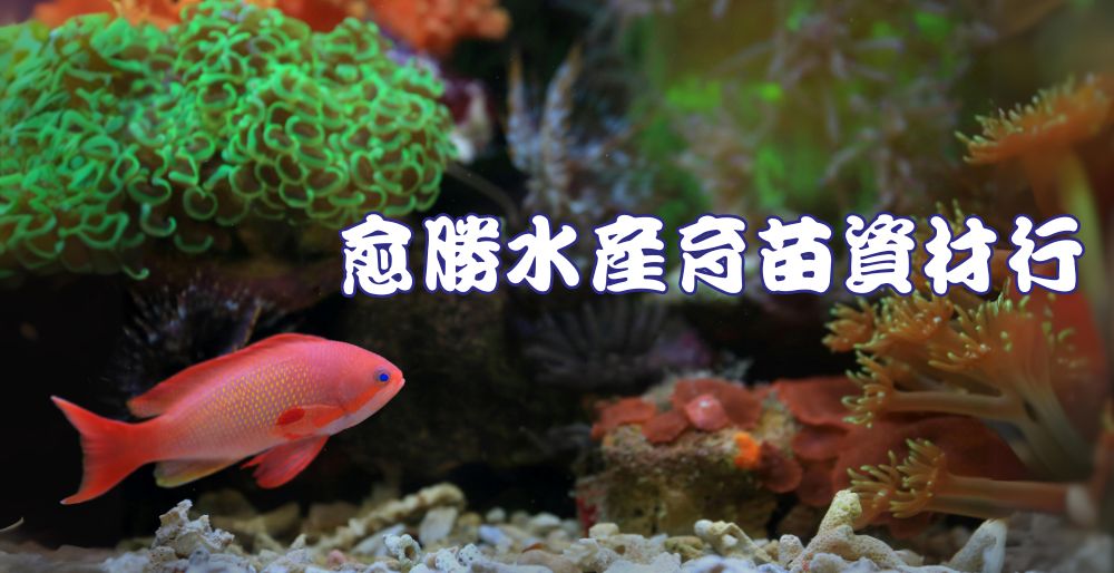 愈勝水產育苗資材行