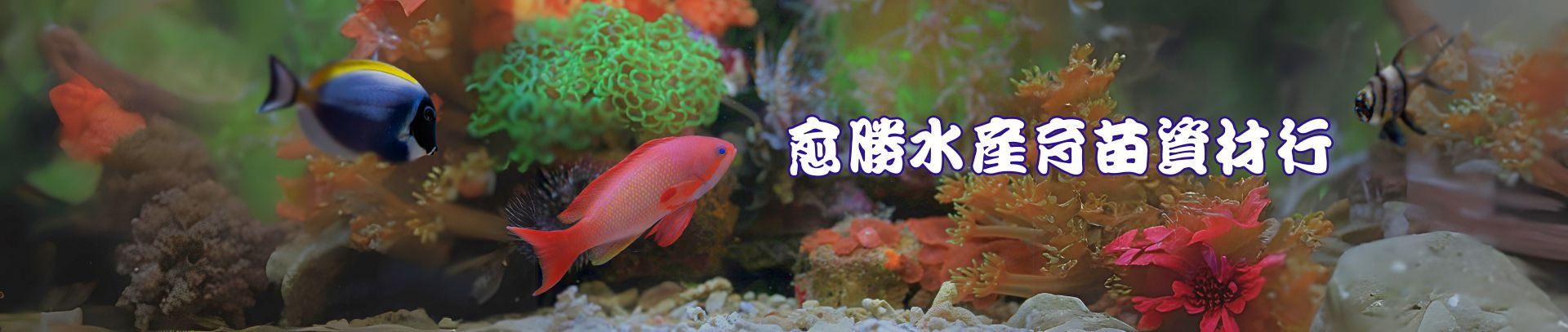 愈勝水產育苗資材行