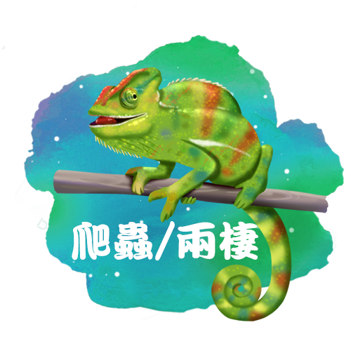 首頁