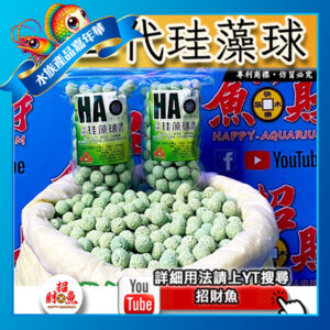 【招財魚】第二代珪藻球