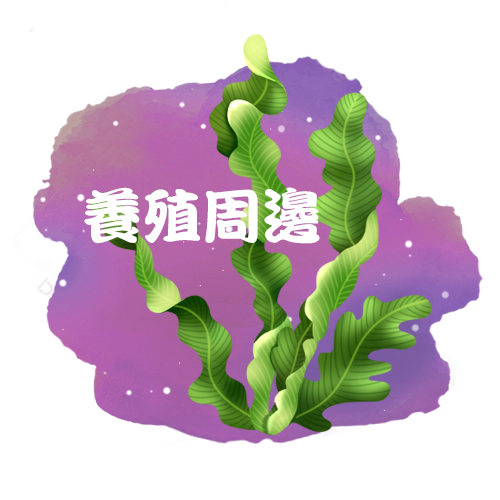首頁