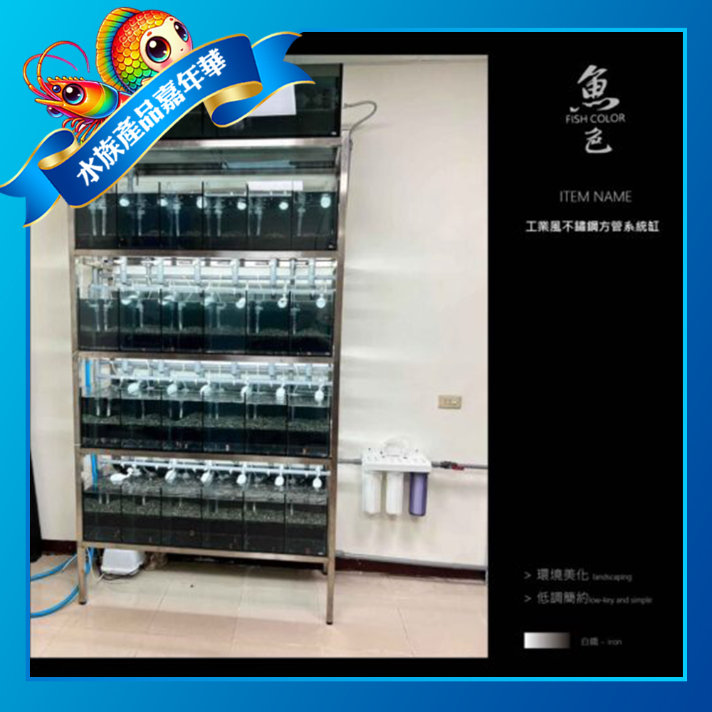 50fb5dedbfc019b3f5489cbfca164599-500x500 魚色水族FISHCOLOR 台北 工業風不鏽鋼方管系統缸 魚缸 水族 觀賞魚 觀賞蝦 孔雀魚