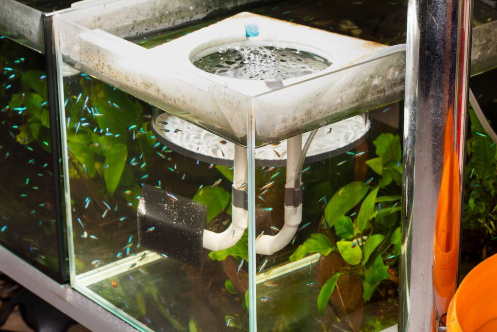 採訪瑞士巴賽爾(Basel)的Peter Uhlmann