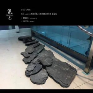 魚色水族FISHCOLOR 台北 天然頁岩板 水族 裝飾 異形魚 遮蔽板（公斤計價）