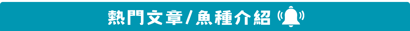 首頁