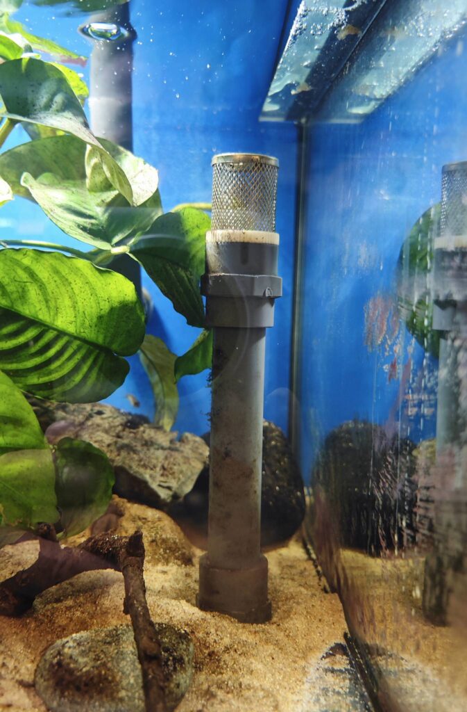 拜訪瑞士Beinwil的René Grossklaus