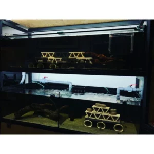 魚色水族FISHCOLOR 台北 三角 淨水磚 大三角 躲避磚 異形魚 觀賞魚 造景 魚缸裝飾