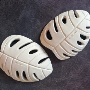 龜背葉