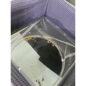 ZooHome自浮式仔魚網