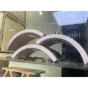 魚色水族FISHCOLOR 台北 迷你瓦片 蘇蝦 水晶蝦 觀賞蝦 觀賞魚 異型仔魚 躲避專用 水族造景