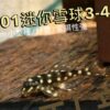 L201迷你雪球