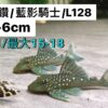 L128紫鑽/藍影騎士