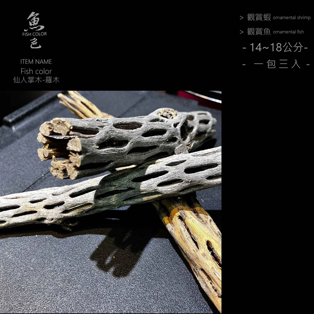 sg-11134201-22110-iu0qkr3u37jv2f 魚色水族FISHCOLOR 台北 三入 蛇王木 蛇木 天然沉木 蝦木 仙人掌木 極火蝦繁殖 小蝦躲藏 小蝦繁殖 母蝦生育