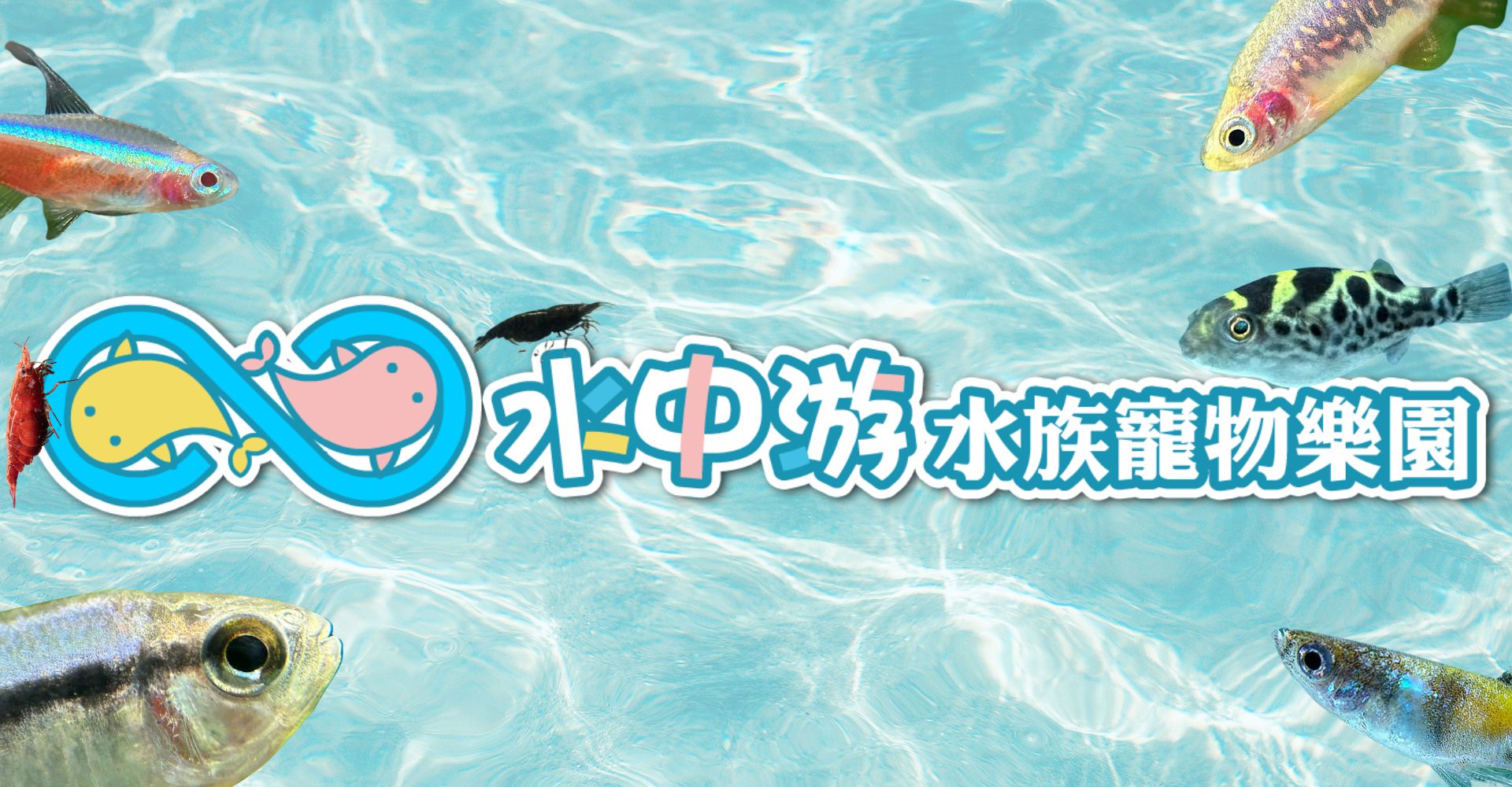 水中游水族樂園