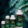 ISTA伊士達 優質強效水草液肥 微量元素