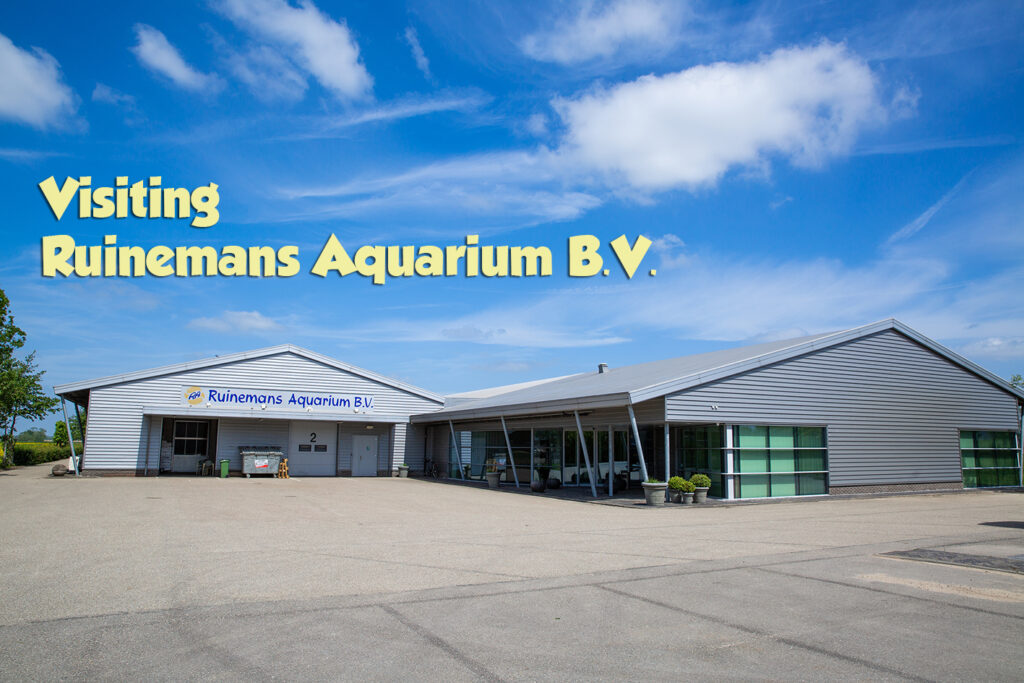 Visiting Ruinemans Aquarium B.V./ Montfoort(蒙特福特)