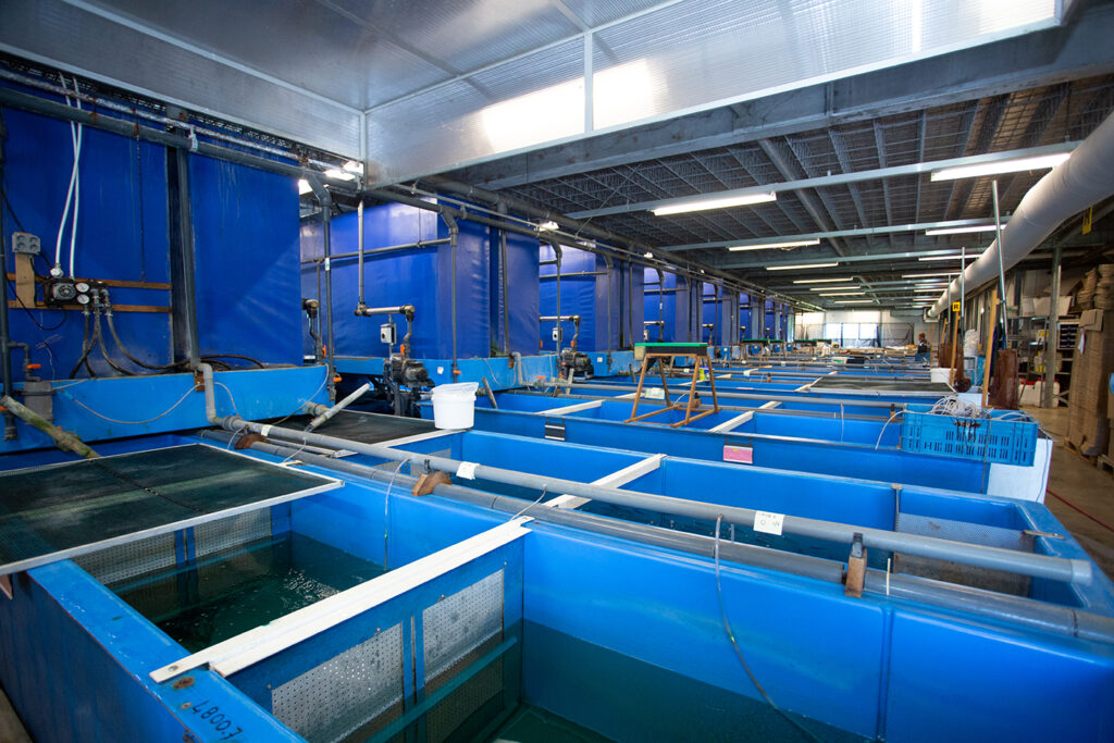 Visiting Ruinemans Aquarium B.V./ Montfoort(蒙特福特)