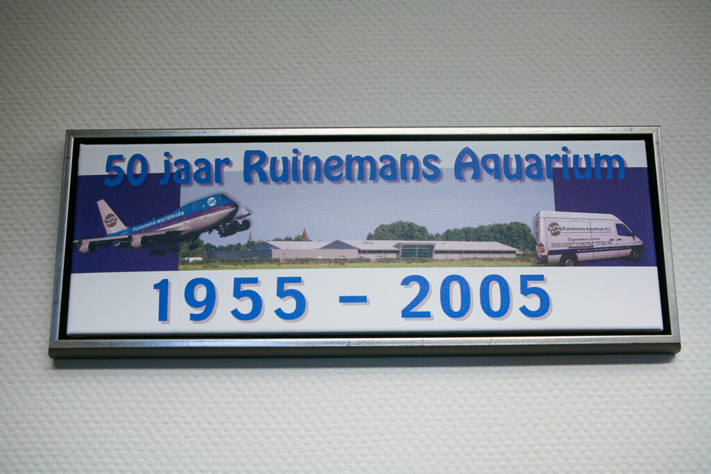 Visiting Ruinemans Aquarium B.V./ Montfoort(蒙特福特)
